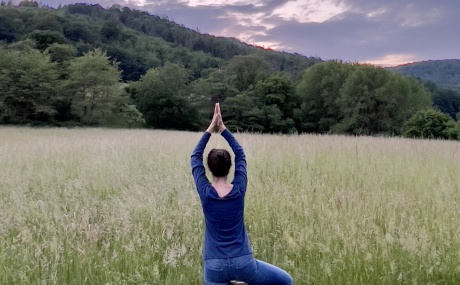 Yoga Baum Wiese Jessica Schmitz